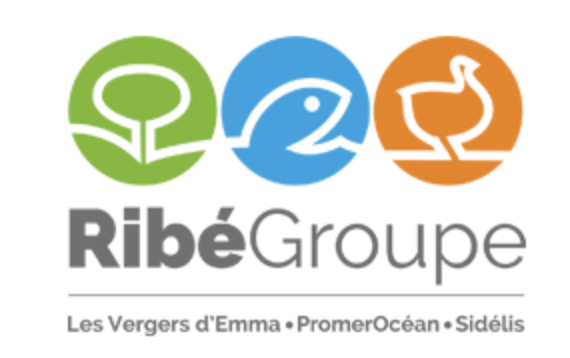 Logo Ribegroupe